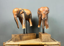 Load image into Gallery viewer, Pair Large Antique Early 20th Century Rosewood Asian Elephants On Stylish Stands