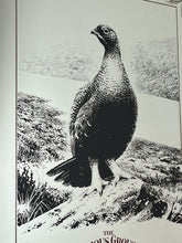 Load image into Gallery viewer, Vintage Advertising Mirror, Famous Grouse Finest Scotch Whisky, Pub Distillery Collectible