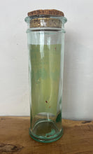 Load image into Gallery viewer, Vintage Art Nouveau Pasta Jar, French Moulin Rouge, Henri Toulouse - Lautrec, Kitchen Interior
