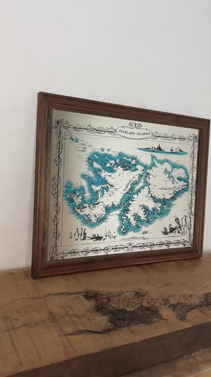 The Falkland Island  vintage map mirror, World geography, history wall art, picture, nature, animals, map by J Rapkin