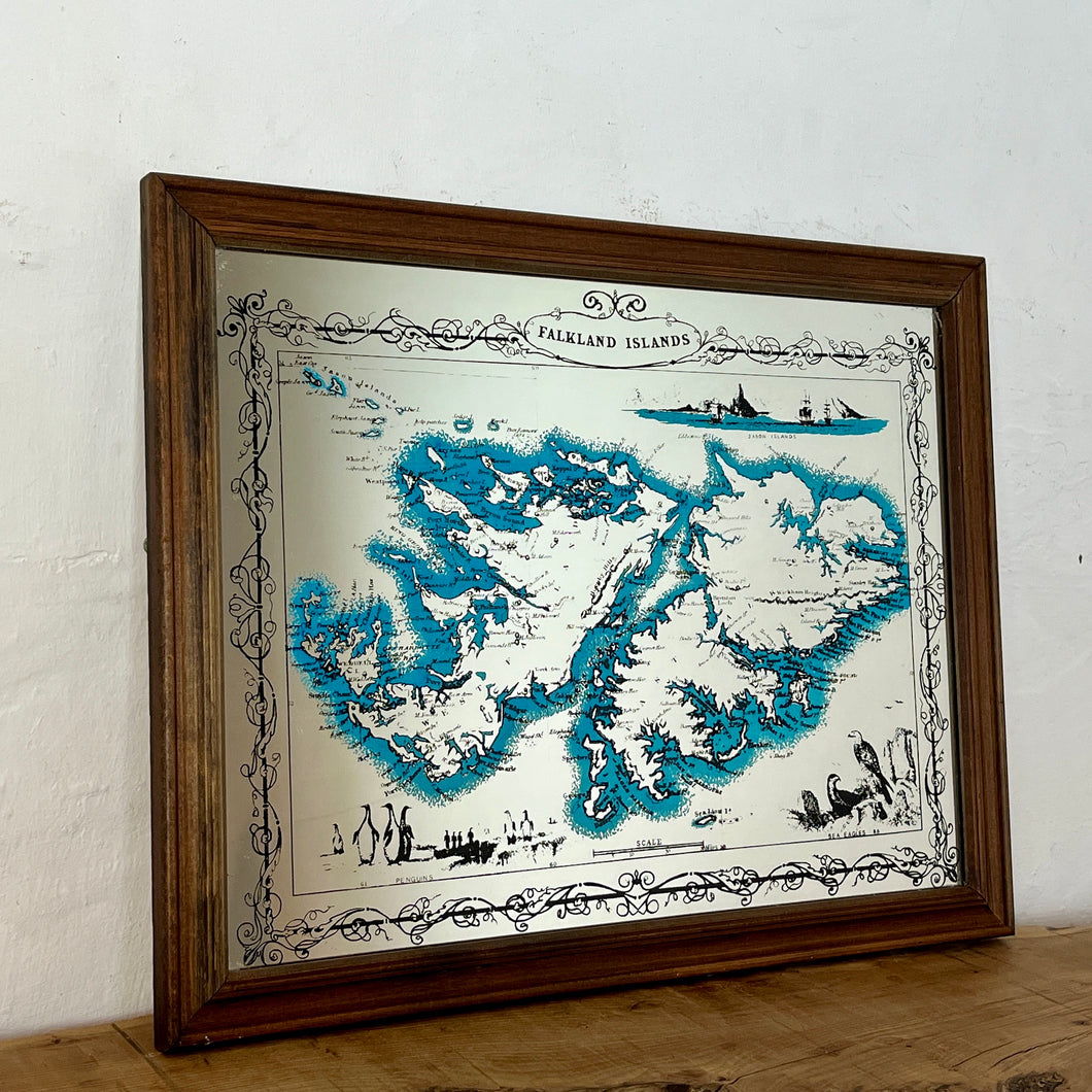 The Falkland Island vintage map mirror, World geography, history wall art, picture, nature, animals, map by J Rapkin