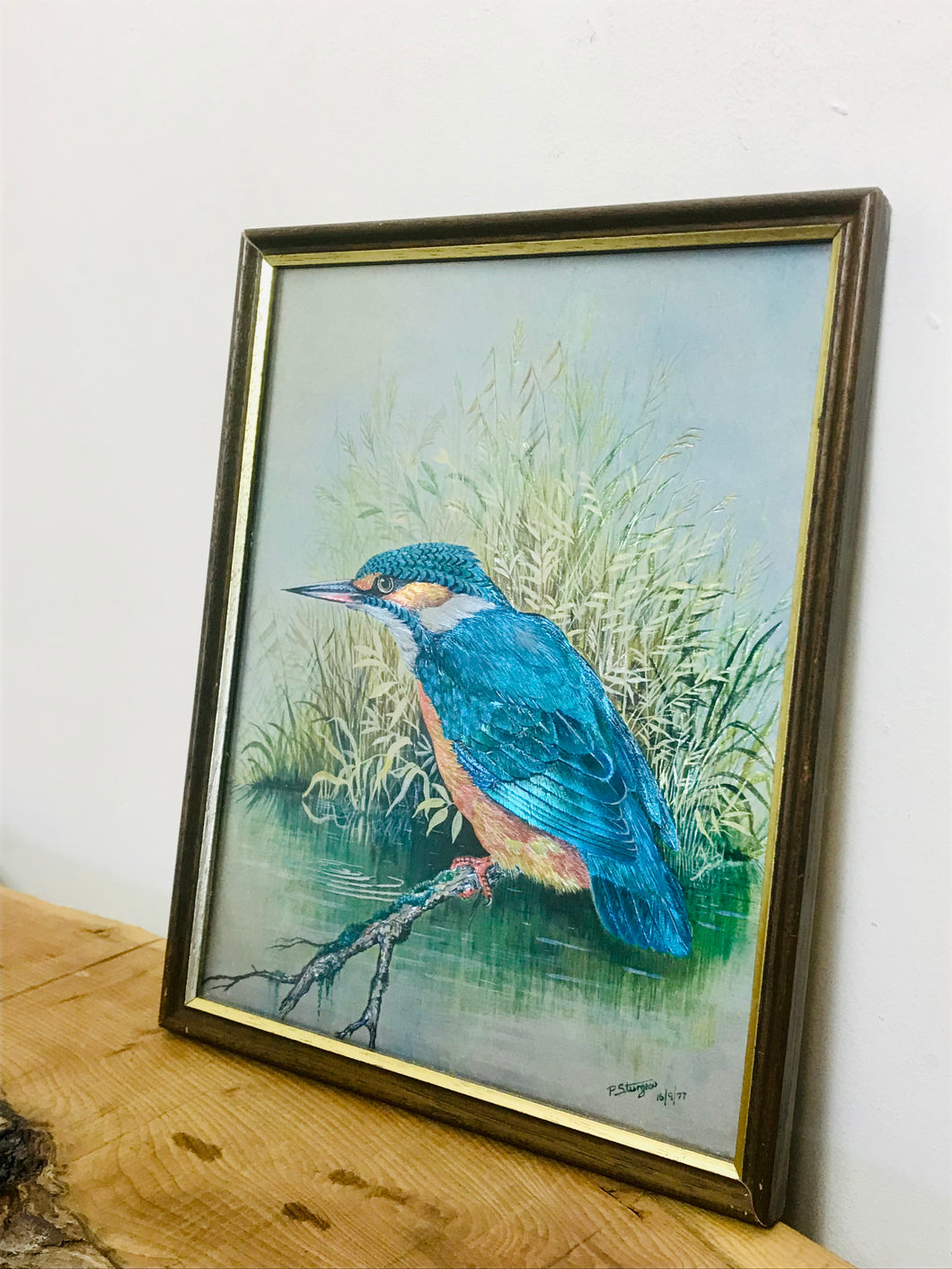 Kingfisher Vivid Foil Art
